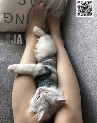 《女教师》未删减