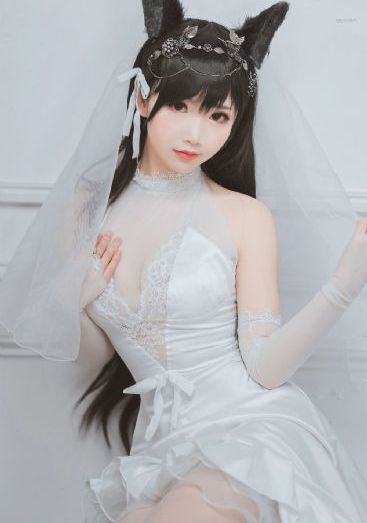 恶魔高校d×d